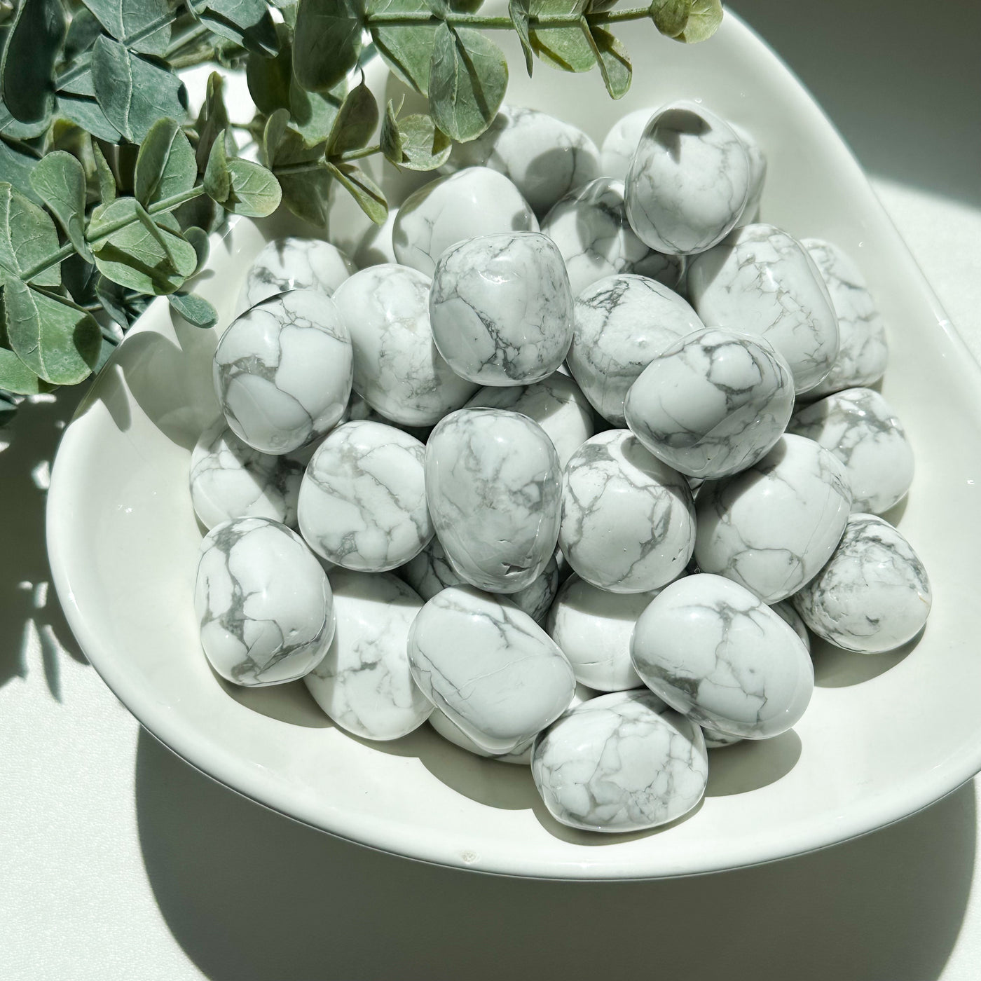 Howlite Tumble