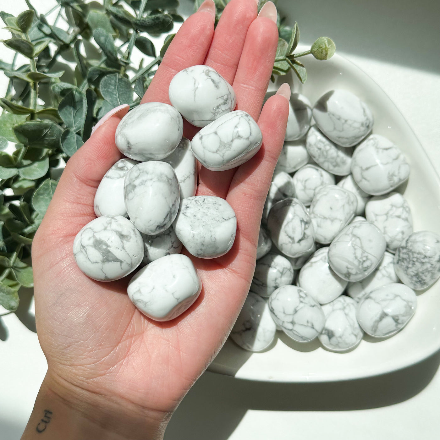 Howlite Tumble