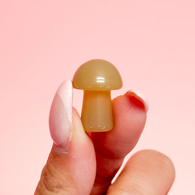 Agate Mushroom