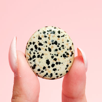 Dalmatian Jasper Mini Flat Stone
