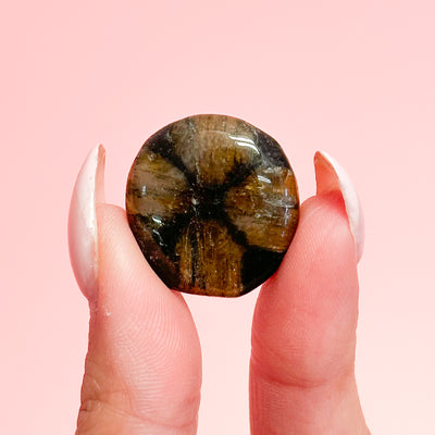 Chiastolite Mini Flat Tumble